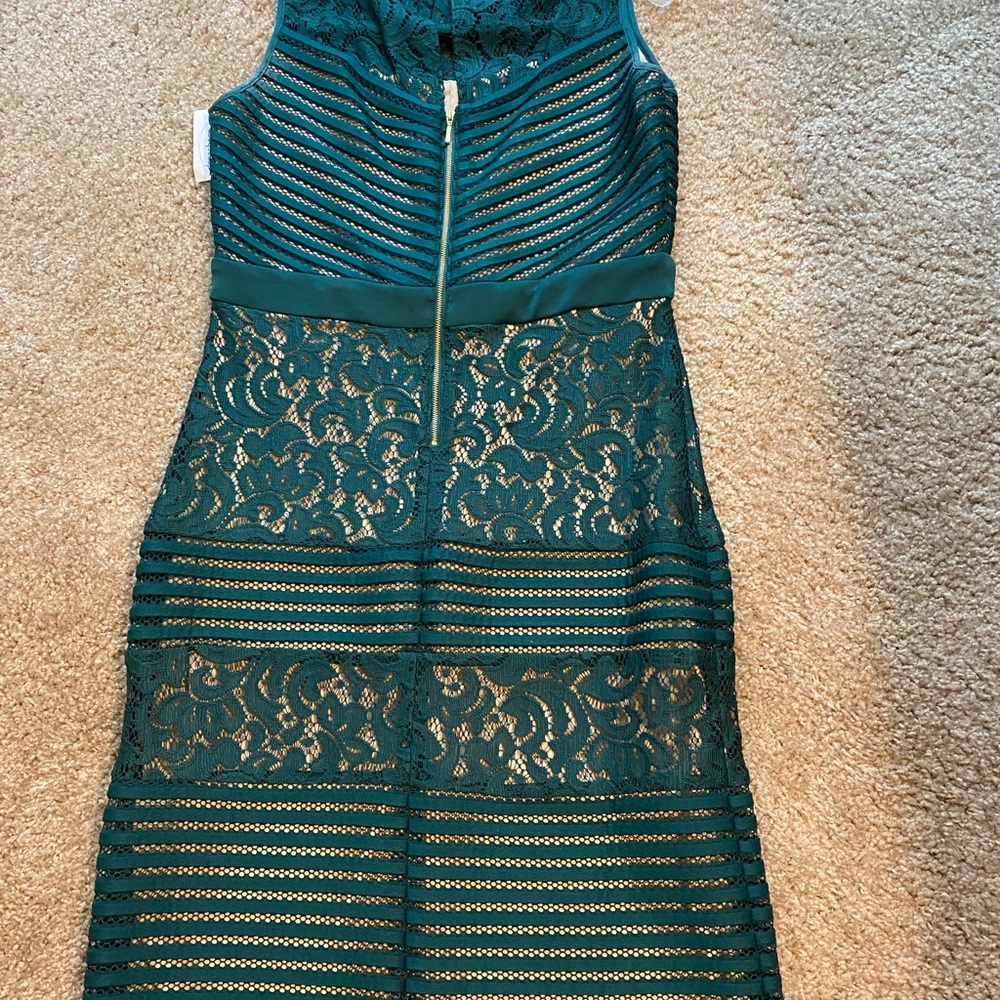 Green Lace and Mesh Sleeveless Dress with nude lining. Size 12 $40.00 - Picture 3 of 4